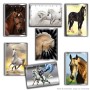 Pack de cromos Panini Le plus beaux Chevaux du monde 36 Sobres