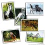 Pack de cromos Panini Le plus beaux Chevaux du monde 36 Sobres