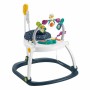 Jouet interactif Fisher Price Trotter Jumperoo Activity Center