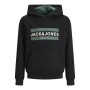 Sweat à capuche enfant JORFRIDAY Jack & Jones 12220968