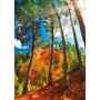 Puzzle Nathan 4005556876396 Les Ocres de Roussillon 1000 Piezas