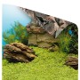 Poster Juwel 1 XL Mural Acuario