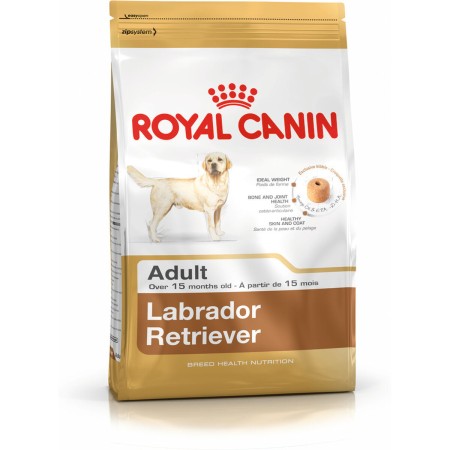 Pienso Royal Canin Labrador Retriever Adult 12 kg Adultos Adulto