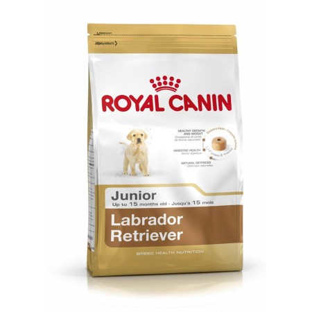 Pienso Royal Canin Labrador Retriever Junior 12 kg Cachorro/Junior