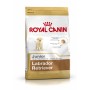 Pienso Royal Canin Labrador Retriever Junior 12 kg Cachorro/Junior