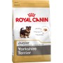 Pienso Royal Canin Yorkshire Terrier Junior 7,5 kg Adultos Cachorro/Junior