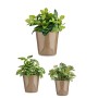 Set de pots Ø 14 cm Ø 22 cm Ø 17 cm Cónica 3 Pièces Taupe