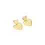 Boucles d´oreilles Femme Radiant RY000097