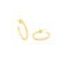 Boucles d´oreilles Femme Radiant RY000016