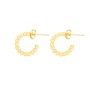 Boucles d´oreilles Femme Radiant RY000017