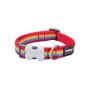 Collier pour Chien Red Dingo STYLE RAINBOW 15 mm x 24-36 cm