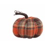 Calabaza Multicolor