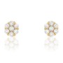 Boucles d´oreilles Femme Stroili 14011047