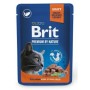 Aliments pour chat Brit Premium