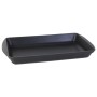 Plat à Gratin Inde Fonte Noir (50 x 30 x 6,5 cm)