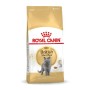 Aliments pour chat Royal Canin British Shorthair Adult Adulte 4 Kg