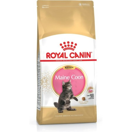 Aliments pour chat Royal Canin Maine Coon Kitten Poulet Riz Oiseaux 4 Kg