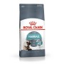 Aliments pour chat Royal Canin Hairball Care Adulte Poulet 4 Kg