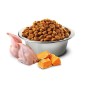 Comida para gato Farmina  Calabaza Adulto Pollo 1,5 Kg