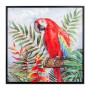 Cadre Signes Grimalt Perroquet Peinture 3,5 x 63 x 63 cm