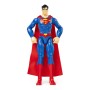Figura de Acción Spin Master 6056778 1 Pieza (30 cm)