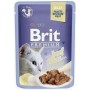 Aliments pour chat Brit Premium