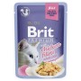 Aliments pour chat Brit Premium