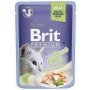 Aliments pour chat Brit Premium