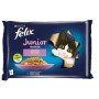 Comida para gato Purina Fantastic