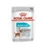 Alimentation humide Royal Canin Adult