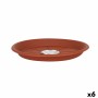 Sous-pot Dem Greentime Marron ø 24 x 2,85 cm (6 Unités)