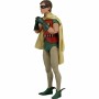 Figura de Acción Neca Robin Burt Ward