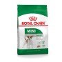 Nourriture Royal Canin Mini Adult Adulte 800 g