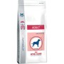 Nourriture Royal Canin Medium Adult Adulte Maïs Oiseaux 10 kg