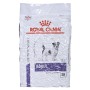 Nourriture Royal Canin Small Adulte Riz Oiseaux 8 kg