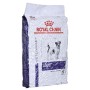 Nourriture Royal Canin Small Adulte Riz Oiseaux 8 kg