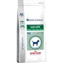 Nourriture Royal Canin Mature Consult Small Dogs Senior 3,5 g