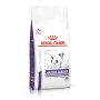 Nourriture Royal Canin Mature Consult Small Dogs Senior 3,5 g