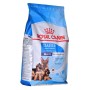 Nourriture Royal Canin Maxi Starter Mother & Babydo Oiseaux 4 Kg