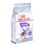 Nourriture Royal Canin Mini Sterilised Adulte 3 Kg