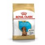 Nourriture Royal Canin Breed Dachshund Jun Petit/Junior Riz Légumes 1,5 Kg