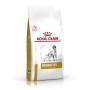 Nourriture Royal Canin Urinary Adulte Riz Oiseaux 2 Kg