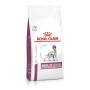 Nourriture Royal Canin Mobility Adulte Oiseaux 2 Kg