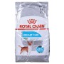 Nourriture Royal Canin Urinary Adulte Maïs Oiseaux 8 kg