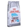 Nourriture Royal Canin Urinary Adulte Maïs Oiseaux 8 kg