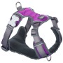 Arnés para Perro Red Dingo Dingo 38-58 cm 46-63 cm Morado M