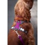 Harnais pour Chien Red Dingo Dingo 38-58 cm 46-63 cm Violet M