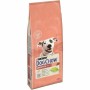 Nourriture Purina DOG CHOW Sensitive Adulte Saumon 14 Kg