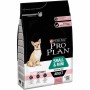 Pienso Purina Small & Mini Adult Adulto Salmón 3 Kg