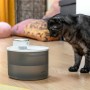 Fontaine pour Chats Rechargeable avec Détecteur Refopet InnovaGoods